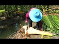 Baby Coconut Tree Cutting Process For Food - Thai Street Food