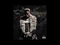 NBA YoungBoy- Until Death Call My Name 2 (Full Mixtape)