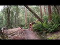 Virtual Run Russell Falls Trail 4K - Treadmill Workout - Virtual Scenery - Tasmania