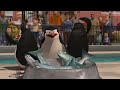 A Day In The Life at Central Park Zoo | Madagascar (2005) | Family Flicks