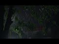 Rain Sounds For Sleeping - Heavy Rain and Thunder Sounds On Glass Roof at Night - Relax Sleep Sounds