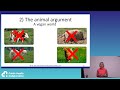 Should We Be Vegan by Dr Zoe Harcombe PhD