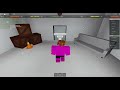 Exploiter in Roblox