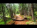 Allison Creek Falls Virtual Run via Chinook Lake | 4K 38 min | Virtual Walk | Treadmill Workout