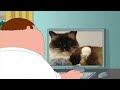 Peter griffin's putting pet videos and other good stuff online