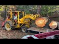 Felling Douglas Fir Timber Small Scale Logging