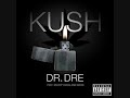 Dr  Dre   Kush Instrumental Official