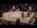 Sumo Match - Tokyo - 相撲