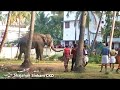 Elephant attack near chavakkad town- Part 2
