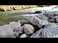 Traditional Fishing Technique in the state Arunachal Pradesh