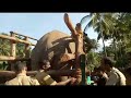 Capturing killer elephant that took the life of 7 people [Attappadi, Kerala]