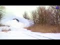 Most Awesome Trains Moving Through Snow Compilation