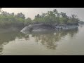 সুন্দরবন ভ্রমণ | SUNDARBAN TOUR | Day 2 | সুন্দরবনের সৌন্দর্য | Sundarban Eco Tourism