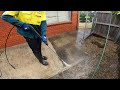 Garden Catastrophe Transformation | Watch me Cleanup this Mess