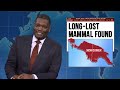 Weekend Update: Ramaswamy Calls GOP Party of Losers, Ivanka Testifies in Fraud Trial - SNL