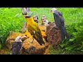 Cat TV for Cats to Watch 😺 Pretty Birds and Squirrels 🐿 8 Hours 4K HDR 60FPS