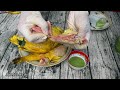 Anh Lee BTR | Cách làm Gà Ủ Muối Hoa Tiêu, thịt đỏ hồng ăn kèm nước chấm tại nhà - boiled chicken