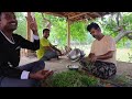 এই গরমে তালবাগানে আনন্দ করে তাল পেরে খাওয়া | Village Cooking Vlog
