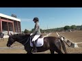 Annie Dressage Longmont Co. 6 30 24 Score 6.1