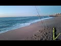 pesca surfcasting monstruo marino