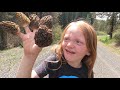 Idaho Morel Mushroom Hunting [ PNW Mountain Mushroom Hunting!!]