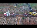 Manley Jobs: 4 Processes of Logging