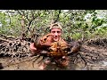 Risking My Fingers For Giant MUDCRABS Catch n Cook