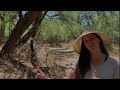 Mesquite Trees and THIS interesting technique will kickstart our Desert Food Forest!