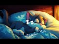 Cute Cat Sleeping w/ Vintage oldies playing from another room (White Noise) 5 hours