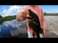 South Florida Canal Fishing for TONS of Crazy Fish