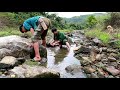 survival skills | Living in harmony with nature, catching clean stream fish in the forest