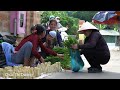 Harvest green vegetables to sell at the market after 25 days the local police come to visit the baby