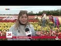 Ngất ngây với cánh đồng hoa tulip rực rỡ sắc màu ở  Hillegom, Hà Lan | VTV24