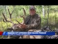 Roanoke City approves deer culling programs
