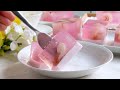 Lychee Agar-agar Jelly Recipe | Agar-agar Recipes | 荔枝燕菜糕果冻食谱