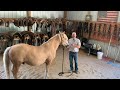 Law of Compensation in Mustang Horsemanship and how to change your life through the practice.