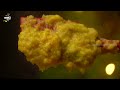 Ven Pongal & Tiffin Sambar | Combo Recipe | CDK 1101 | Chef Deena's Kitchen