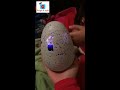Reign’s Hatchimal hatching! Guess what’s inside???