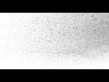 Particles 4K white background 1 hour PACK // Free download