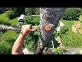 It doesn't get Better , Tree climbing, Buckinized Ripsaw 201tc