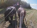 Baling Hay With Horses