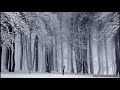 10 Hours of Snow Sound in Forest