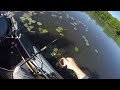 LARGEMOUTH BASS on the TOPWATER FROG!