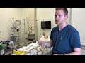 Perfusionist explains the heart-lung machine for cardiac surgery