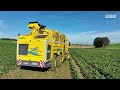The Most High-Performing Sugar Beet Harvester: ROPA Tiger 6S