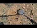 PROSPECTING in the OUTBACK of WESTERN AUSTRALIA [Part 1]