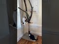 DIY Cat Tree - How To Build A Cat Tree With A Real Tree