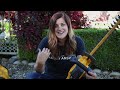 Trimming Boxwoods | Dewalt 20v Hedge Trimmer Review // Garden Answer