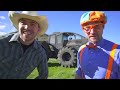 Blippi Português Visita uma Fazenda | Vídeos Educativos para Crianças | As Aventuras de Blippi