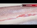 How Salmon Fillet Are Made in Factory | How It's Made ▶01